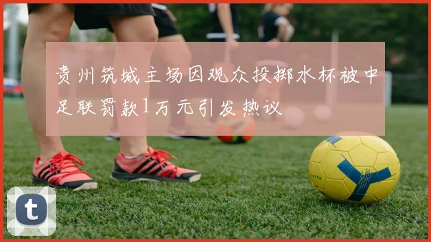 贵州筑城主场因观众投掷水杯被中足联罚款1万元引发热议
