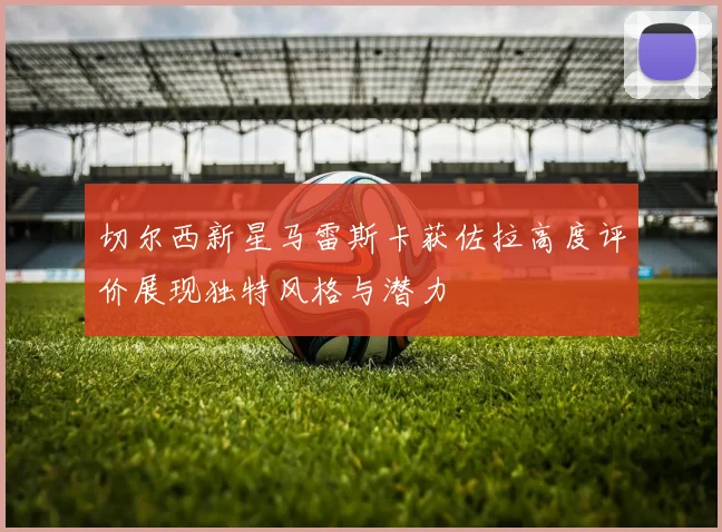 切尔西新星马雷斯卡获佐拉高度评价展现独特风格与潜力