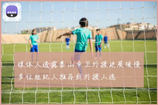 媒体人透露泰山中卫外援进展缓慢多位经纪人推荐新外援人选